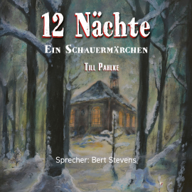 Hörbuch 12 Nächte  - Autor Till Pahlke   - gelesen von Bert Stevens