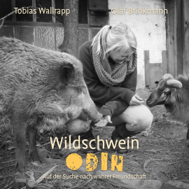 Hörbuch Wildschwein Odin  - Autor Tobias Wallrapp   - gelesen von Olaf Brinkmann