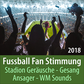 Fussball Fan Stimmung 2018, Stadion Geräusche, Gesang, Ansager, WM Sounds