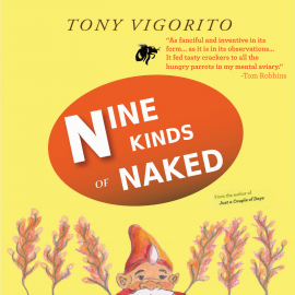 Hörbuch Nine Kinds of Naked  - Autor Tony Vigorito   - gelesen von Kristin Kalbli