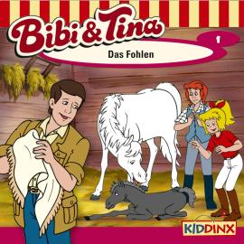 Hörbuch Bibi & Tina, Folge 1: Das Fohlen  - Autor Ulf Tiehm   - gelesen von Schauspielergruppe