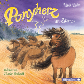 Hörbuch Ponyherz im Sturm  - Autor Usch Luhn   - gelesen von Marlen Diekhoff