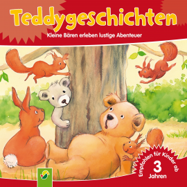 Hörbuch Teddygeschichten  - Autor Uwe Müller   - gelesen von Bernd Reheuser