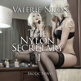The Nylon Secretary 1 | Erotic Novel