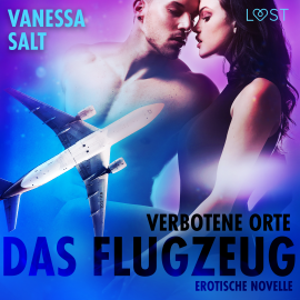 Hörbuch Verbotene Orte: Das Flugzeug - Erotische Novelle  - Autor Vanessa Salt   - gelesen von Helene Hagen