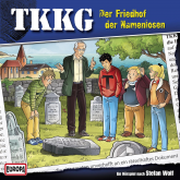 TKKG - Folge 194: Der Friedhof der Namenlosen