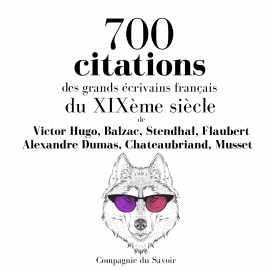 Hörbuch 700 citations des grands écrivains français du XIXème siècle  - Autor Victor Hugo   - gelesen von Schauspielergruppe