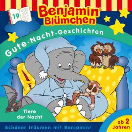 Hörbuch Benjamin Blümchen, Gute-Nacht-Geschichten, Folge 19: Tiere der Nacht  - Autor Vincent Andreas   - gelesen von Schauspielergruppe