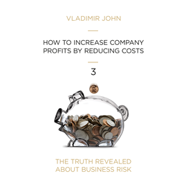 Hörbuch HOW TO INCREASE COMPANY PROFITS BY REDUCING COSTS  - Autor Vladimir John   - gelesen von Schauspielergruppe