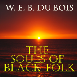 Hörbuch The Souls of Black Folk  - Autor W. E. B. Du Bois   - gelesen von Mark Bowen