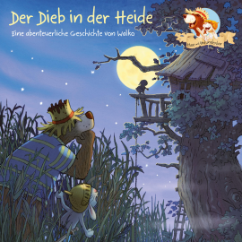 Hörbuch Der Dieb in der Heide  - Autor Walko   - gelesen von Julian Horeyseck