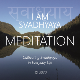 Hörbuch I Am Svadhyaya  - Autor Walter Berger   - gelesen von Walter Berger