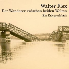 Hörbuch Der Wanderer zwischen beiden Welten  - Autor Walter Flex   - gelesen von Jan Koester