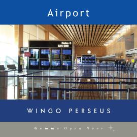 Hörbuch Airport (Unabridged)  - Autor Wingo Perseus   - gelesen von Schauspielergruppe