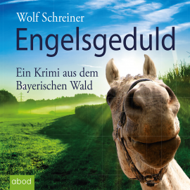 Hörbuch Engelsgeduld  - Autor Wolf Schreiner   - gelesen von Christian Huber