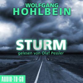 Hörbuch Sturm (Gekürzt)  - Autor Wolfgang Hohlbein   - gelesen von Olaf Pessler