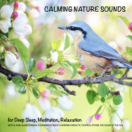 Hörbuch Calming Nature Sounds (without music) for Deep Sleep, Meditation, Relaxation  - Autor Yella A. Deeken   - gelesen von Ian Brannan