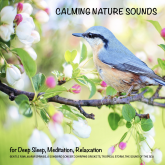 Calming Nature Sounds (without music) for Deep Sleep, Meditation, Relaxation