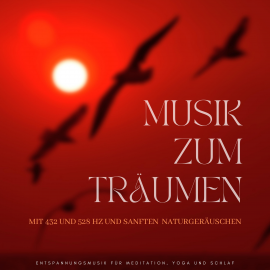 Hörbuch Musik zum Träumen mit 432 und 528 Hz und sanften Naturgeräuschen  - Autor Yella A. Deeken   - gelesen von Nils von Ahlefeld