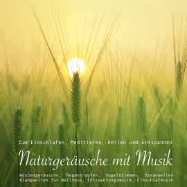 Hörbuch Naturgeräusche mit Musik zum Meditieren, Heilen und Relaxen (Entspannungsmusik)  - Autor Yella A. Deeken   - gelesen von Yella A. Deeken