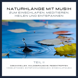 Hörbuch Naturklänge mit Musik zum Einschlafen, Meditieren, Heilen und Entspannen - Teil 2  - Autor Yella A. Deeken   - gelesen von Stephan Müller