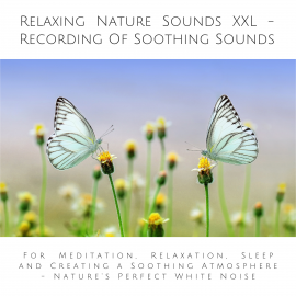 Hörbuch Relaxing Nature Sounds XXL (without music) - Recording Of Soothing Nature Sounds  - Autor Yella A. Deeken   - gelesen von Ian Brannan