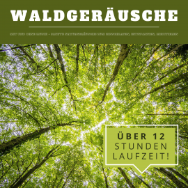 Hörbuch Waldgeräusche mit und ohne Musik (XXL Bundle)  - Autor Yella A. Deeken   - gelesen von Naturgeräusche aus aller Welt