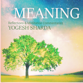Hörbuch Meaning  - Autor YOGESH SHARDA   - gelesen von YOGESH SHARDA