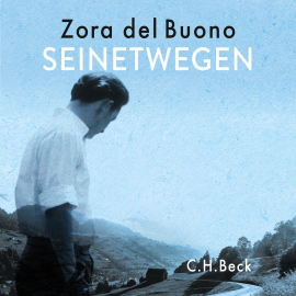 Hörbuch Seinetwegen  - Autor Zora del Buono   - gelesen von Brigitte Trübenbach