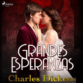 Audiolibro Grandes esperanzas  - autor Charles Dickens   - Lee Varios narradores