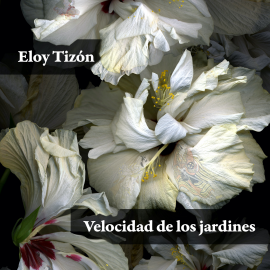 Audiolibro Velocidad de los jardines  - autor Eloy Tizón   - Lee Jonathan González