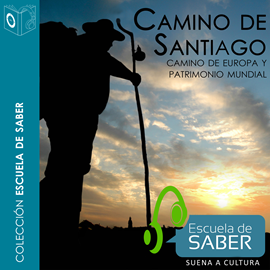Audiolibro Camino de Santiago  - autor Francisco Singul   - Lee Santiago Noriega Gil