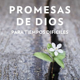 Audiolibro Promesas de Dios para tiempos difíciles  - autor Jack Countryman   - Lee Beto Castillo