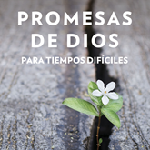 Promesas de Dios para tiempos difíciles