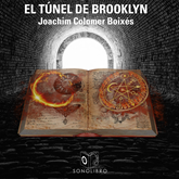 El túnel de Brooklyn