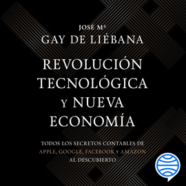 Audiolibro Revolución tecnológica y nueva economía  - autor José María Gay de Liébana   - Lee Luis Pinazo