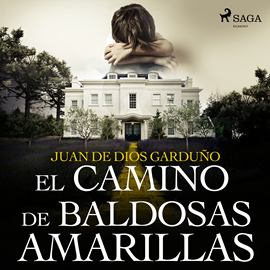 Audiolibro El camino de baldosas amarillas  - autor Juan de Dios Garduño   - Lee Alex Ugarte
