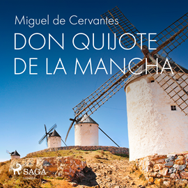 Audiolibro Don Quijote de la Mancha  - autor Miguel de Cervantes   - Lee Equipo de actores