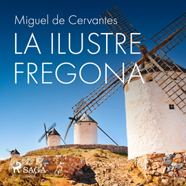 Audiolibro La ilustre fregona  - autor Miguel de Cervantes   - Lee Enrique Aparicio - acento ibérico