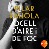 Ocell d'aire i de foc