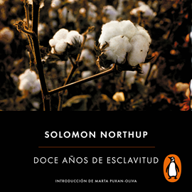 Audiolibro Doce años de esclavitud  - autor Solomon Northup   - Lee Víctor Sabi