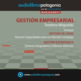 Audiolibro Gestión Empresarial  - autor Teodoro Wigodski   - Lee Vitorio Hass - acento latino