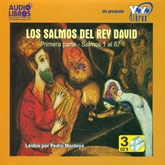 Audiolibro Los Salmos Del Rey David vol 1  - autor VARIOS   - Lee Pedro Montoya - acento latino