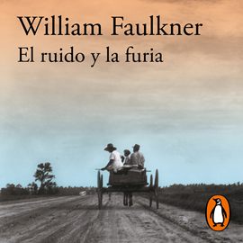 Detrás del ruido : Desarrollo personal : Los mejores audiolibros -  /es