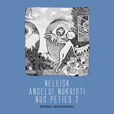 Audioknyga NELEISK ANGELUI NUKRISTI NUO PETIES 2  - autorius Audrius Skačkauskas   - skaito Arūnas Vismantas