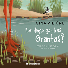 Audioknyga KUR DINGO GANDRAS GRANTAS? Paukščių nuotykiai Ventės rage  - autorius Gina Viliūnė   - skaito Eimantas Bareikis