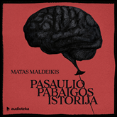 Audioknyga PASAULIO PABAIGOS ISTORIJA  - autorius Matas Maldeikis   - skaito Matas Maldeikis