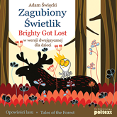 Audiobook Zagubiony Świetlik. Brightly Got Lost w wersji dwujęzycznej dla dzieci  - autor Adam Święcki   - czyta zespół aktorów
