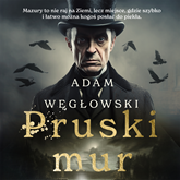 Audiobook Pruski mur  - autor Adam Węgłowski   - czyta Krzysztof Grębski
