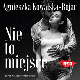 Audiobook Nie to miejsce  - autor Agnieszka Kowalska-Bojar   - czyta Krzysztof Polkowski